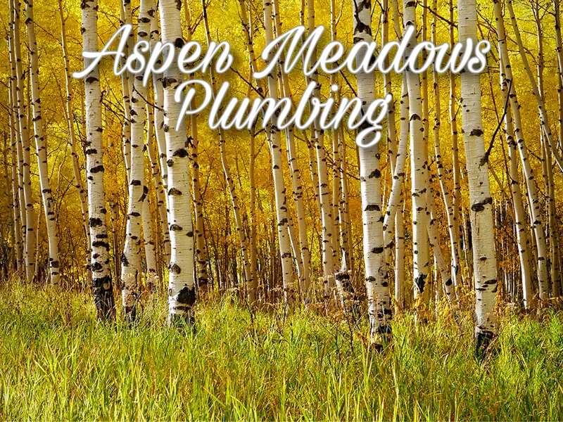 Aspen Meadows Plumbing